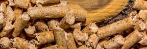 wood biofuel
