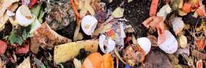 food waste
