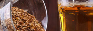 Brewery Grains