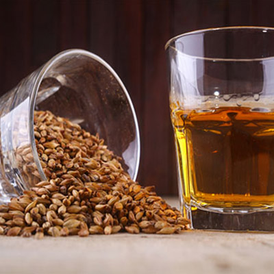 Brewery Grains